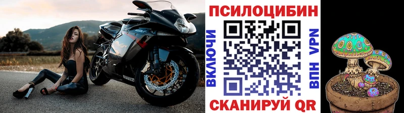 даркнет сайт  Гаджиево  darknet как зайти  Псилоцибиновые грибы Cubensis 